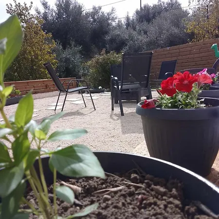 Apartament Afionas Cottage *