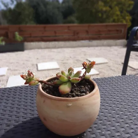 Afionas Cottage Afión