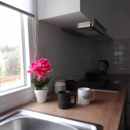 Afionas Cottage *