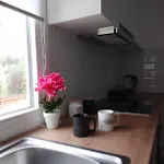 Afionas Cottage *